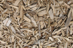 biomass boilers Llanspyddid